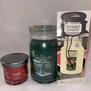 Yankee Candle FROSTED FOREST 2-Wick 20oz Jar Candle, CINNAMON Jar & Car Jar NEW